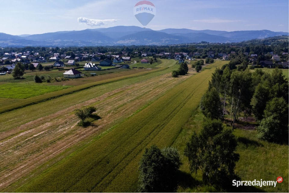 Widokowa działka panorama 360 asfalt Lipowa