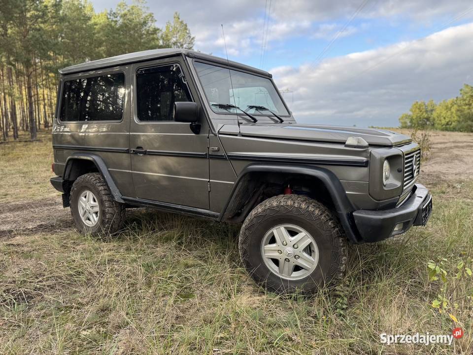 Mercedes G 300GE KLIMA 463 lubuskie Skwierzyna
