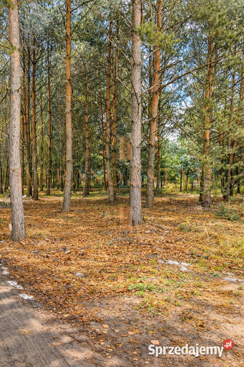 działka budowlana 3600 m Groszowice szambo Sprzedaż Nieruchomości