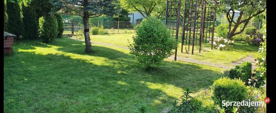 Działka ROD SUCHARSKIEGO Wejherowo 429m2 DOMEK