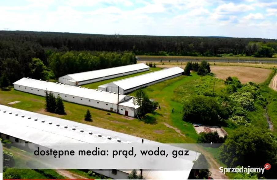 Sprzedam 4 hale 5200m2 S3 Skwierzyna