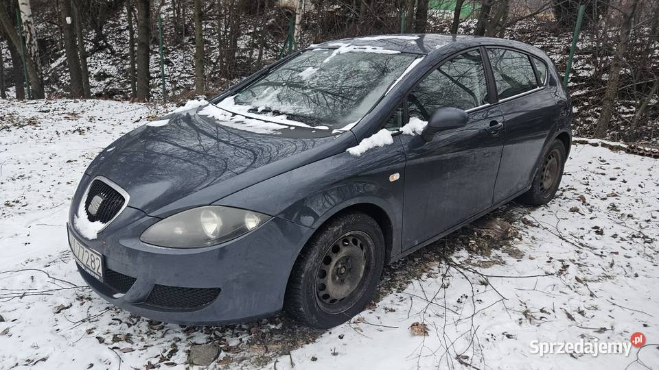 Seat Leon 19 Tdi 105 2008