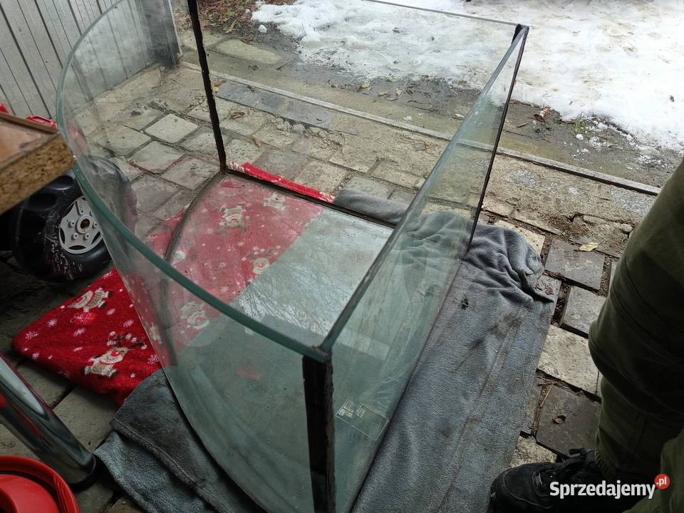 Akwarium narożne panoramiczne ponad 300L z Jawor