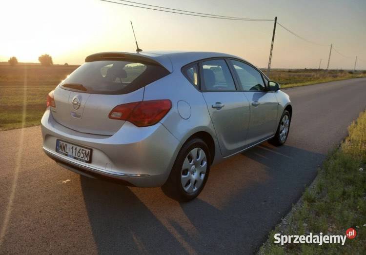 Opal astra mazowieckie Borowie