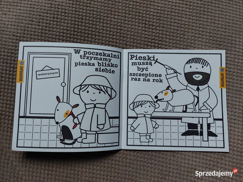 Piesek u lekarza Uta Dorczyk miękka małopolskie Kraków sprzedam