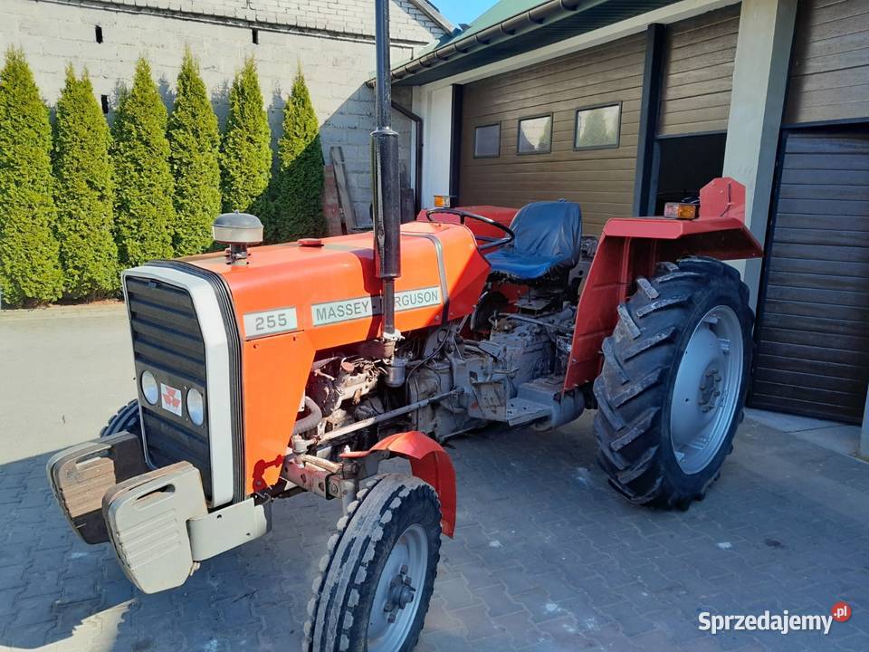 Massey Ferguson 255 świętokrzyskie