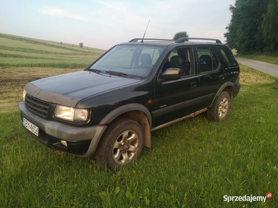 Błotnik Frontera b Błotniki małopolskie Trzyciąż