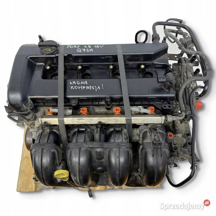 SILNIK Q7DA Ford Focus II MK2 C C 18 16V 125 Chełm sprzedam