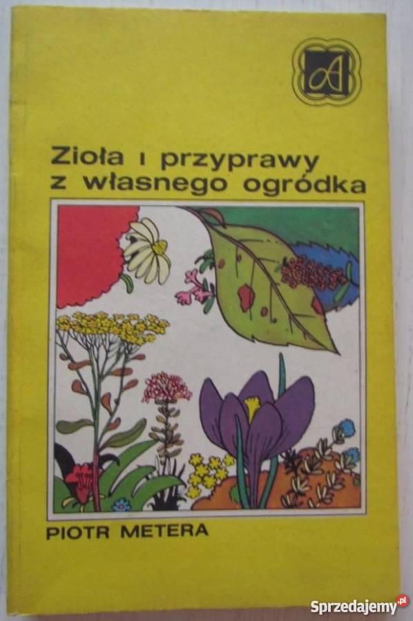 ZIOŁA I PRZYPRAWY Z WŁASNEGO OGRÓDKA METERA P Zielona Góra