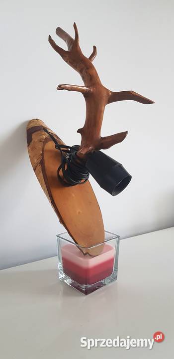 Stara lampa na korzeniu Pozostałe śląskie Dąbrowa Górnicza