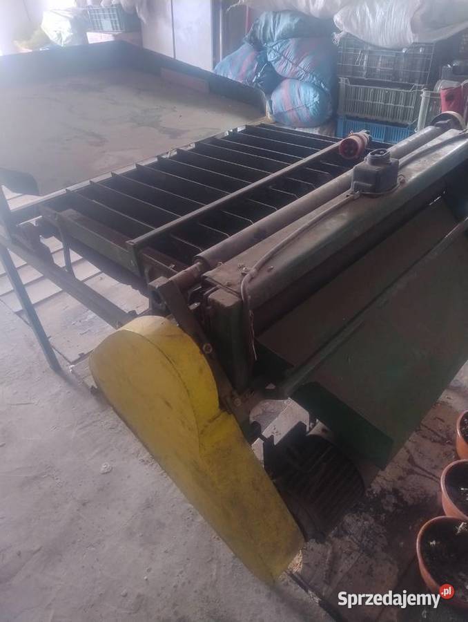 Łuskarka do Bobu nieuszkodzony Miechów sprzedam