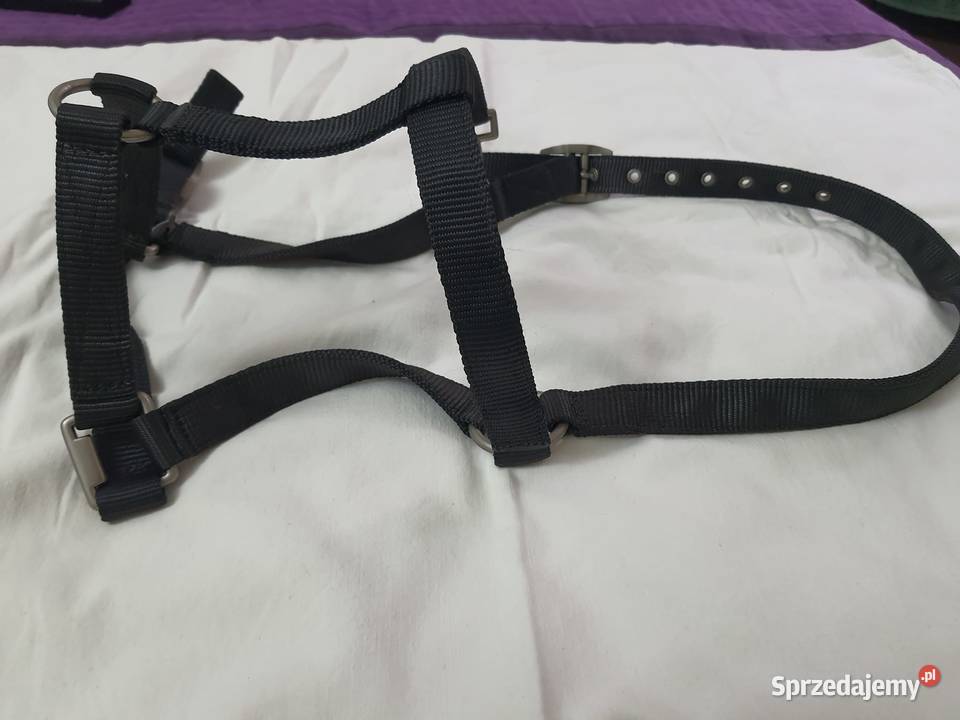 akcesoria koni kandar Łódź