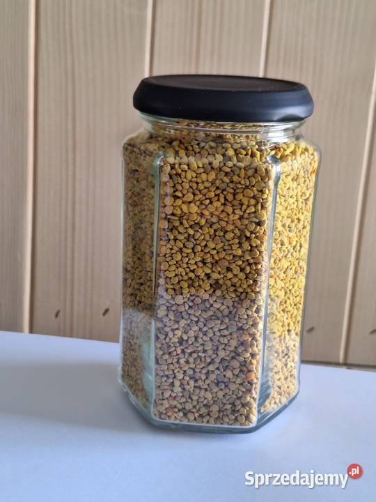 Sprzedam pyłek pszczeli Pszczelarza z Wadowic Kraków