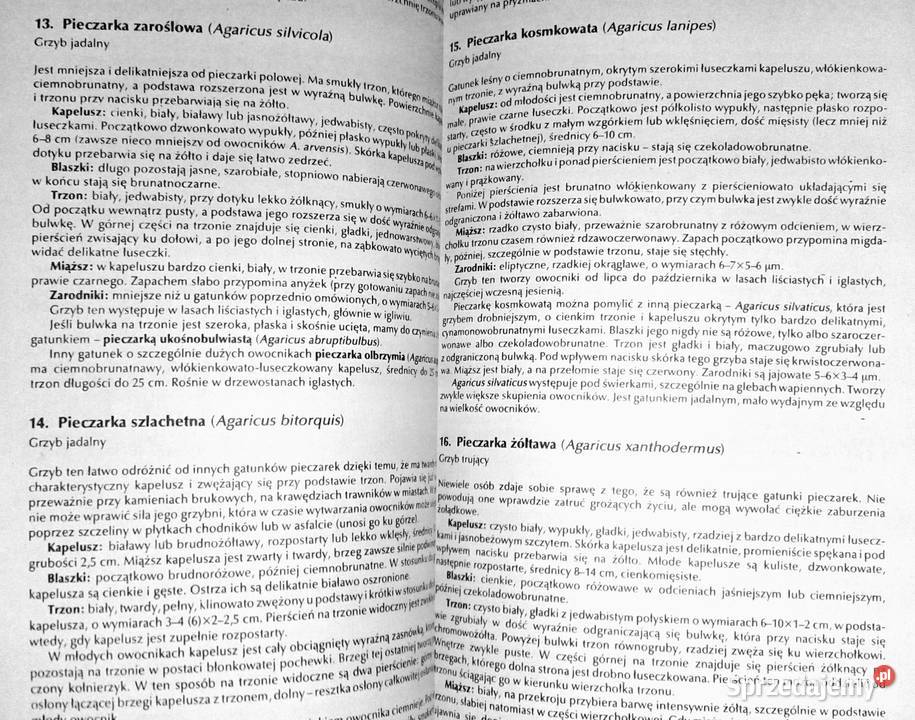 Atlas grzybów Bruno Hennig lubelskie Chełm