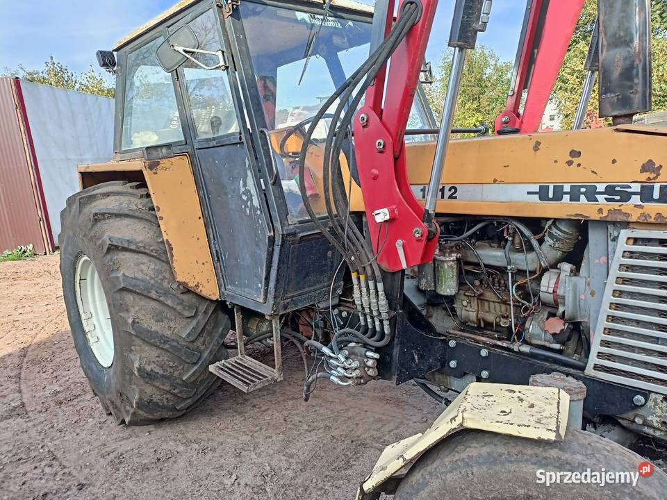Ursus 1212 nie 385 1224 1614 Ursus Wschowa