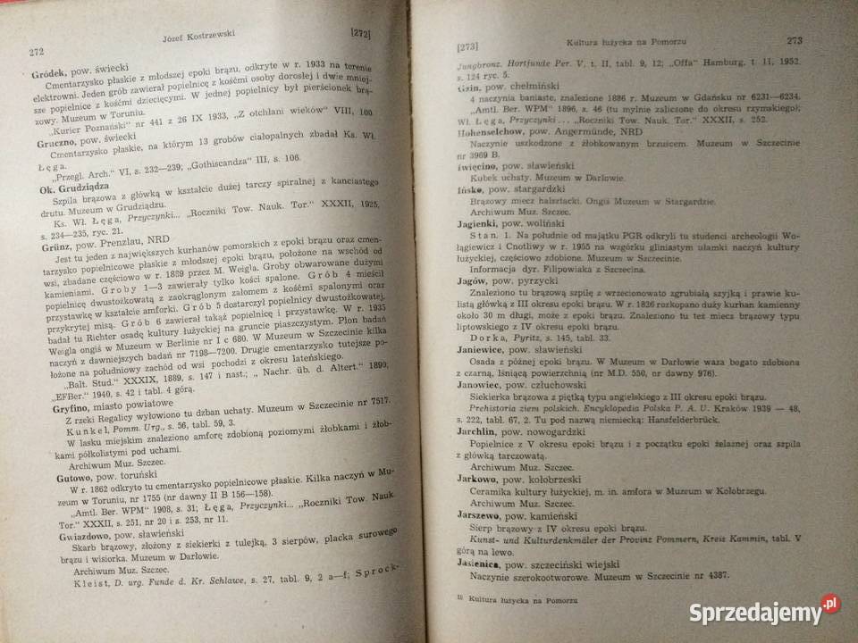 3513 Kultura Łużycka Na Pomorzu Szczecin