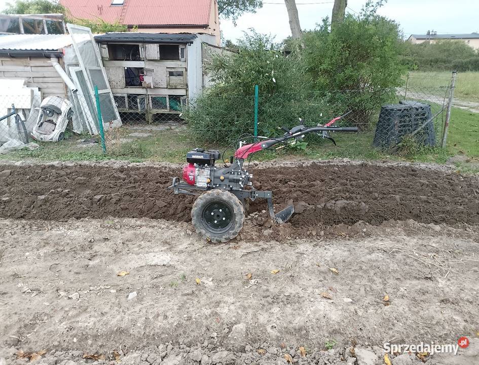 Usługi Ogrodnicze śląskie Wieszowa