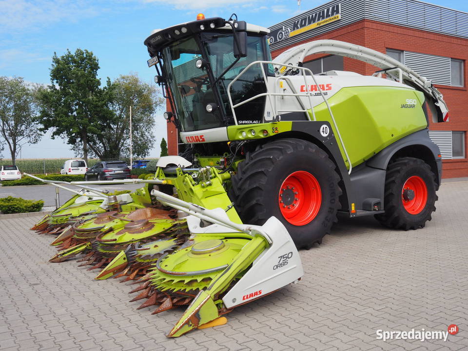 Claas Jaguar 950 4WD Orbis 750 Sieczkarnia Stęszew