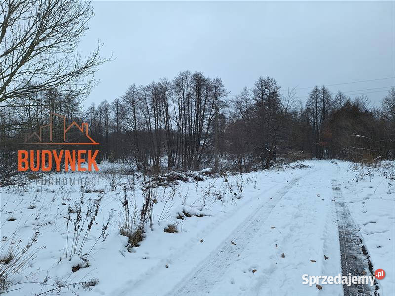 Działka rolna Przystawy