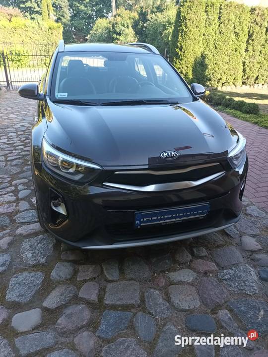 KIA STONIC 2019 Stonic pomorskie Pszczółki