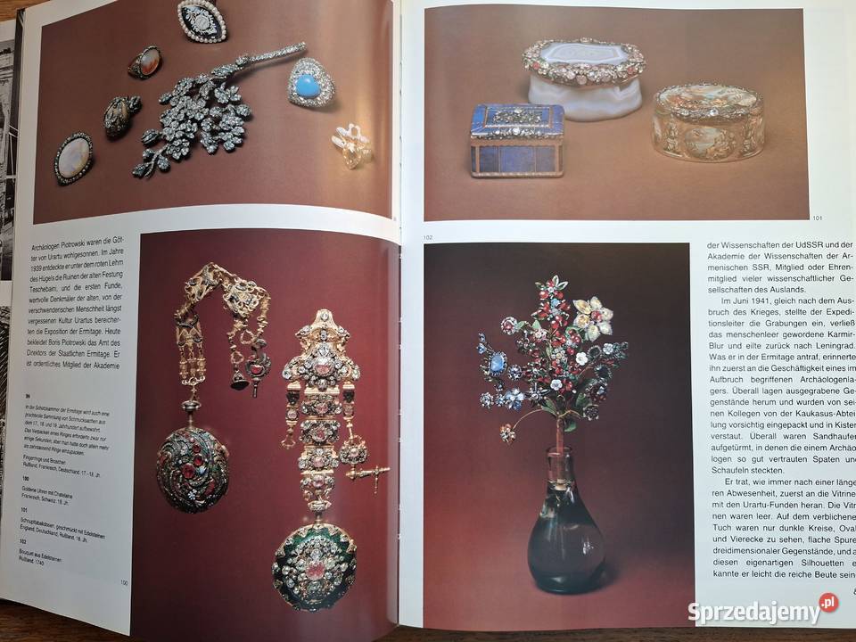 Gerettet fur die Menschheit Ermitaż j niemiecki Książki naukowe i popularnonaukowe Kraków