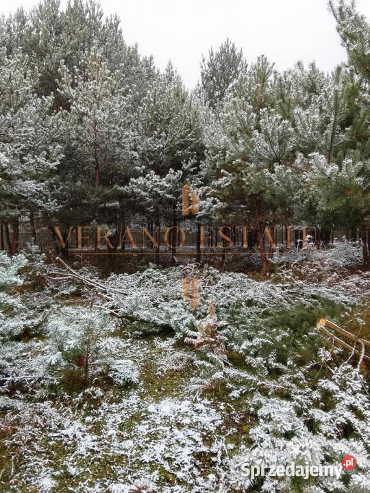 działka budowlana 3600 m w Groszowicac Groszowice sprzedam