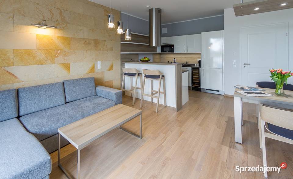 Kamień dekoracyjny ozdobny elewacyjny do salonu Wielgomłyny