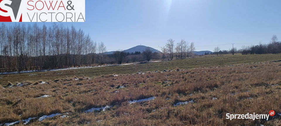 Słoneczna działka budowlana w Szczawnie Zdroju dolnośląskie Szczawno-Zdrój