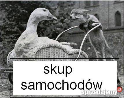 vw t4 transporter Nowogród Bobrzański