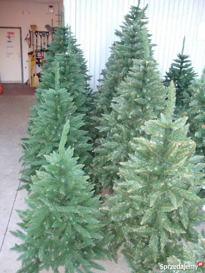 Choinki choinka sztuczna Choinki żywe małopolskie Gorlice