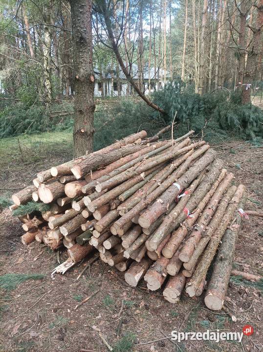 Drewno opałowe wałki 2m SOSNA domieszką BRZOZA Opał Czerwonak sprzedam