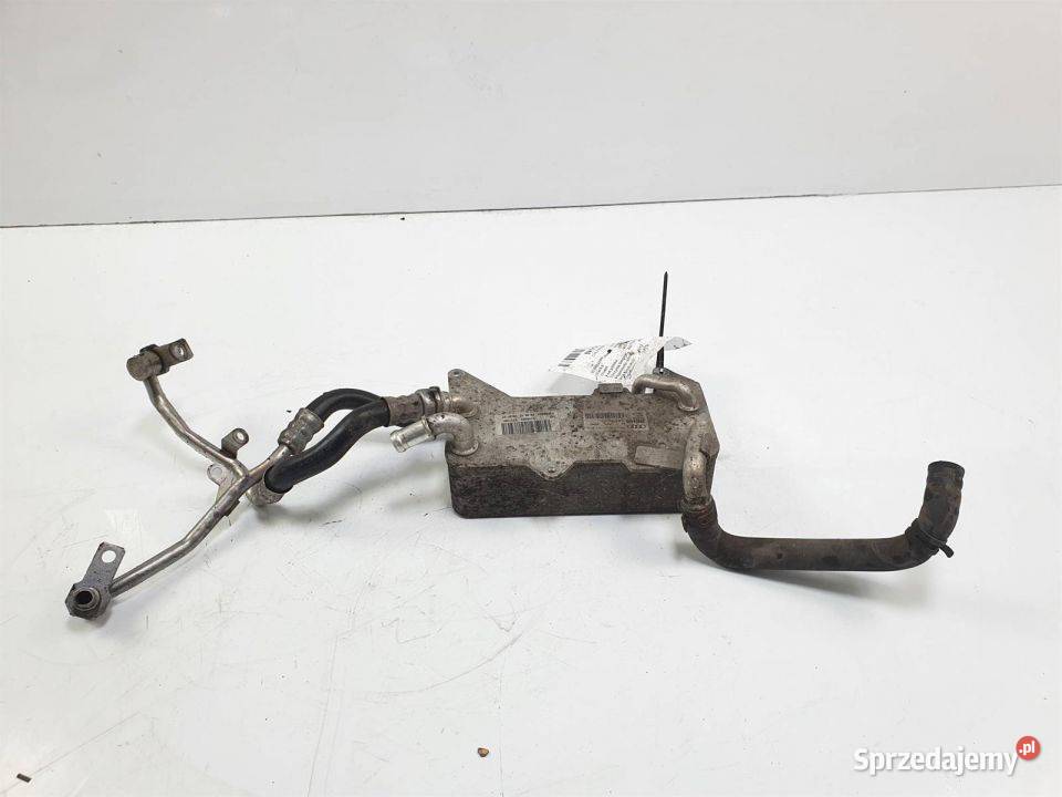 CHŁODNICZKA OLEJU AUDI S8 D4 4H0317021H osobowe kujawsko-pomorskie Lipno