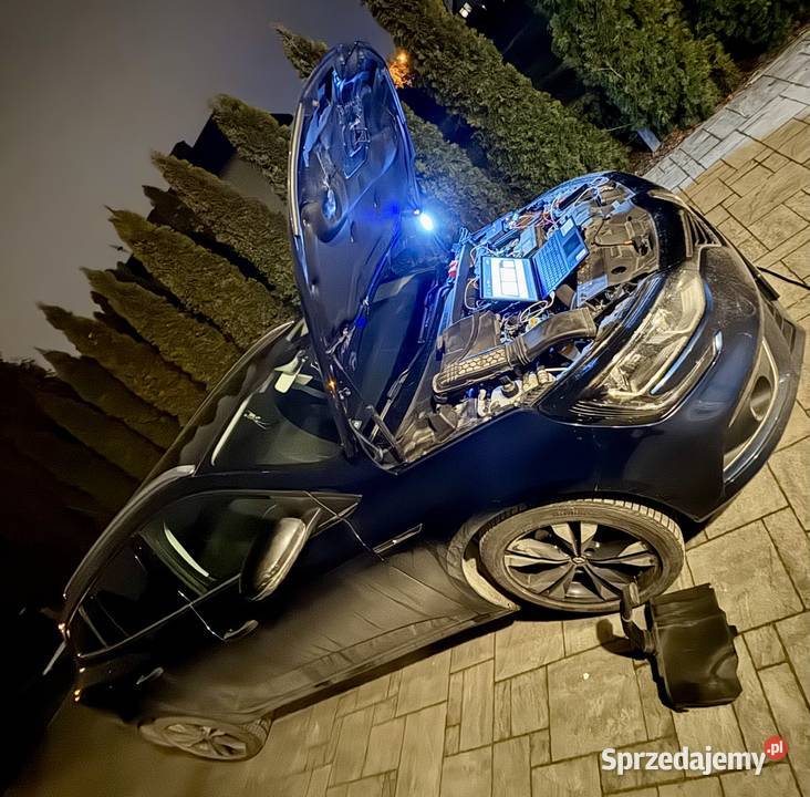 Wyłączanie Trybu Awaryjnego Adblue DPF EGR NOX pomorskie Gdańsk