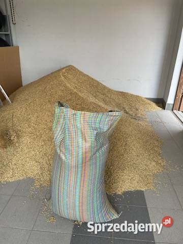Sprzedam owies worek 40 Siary