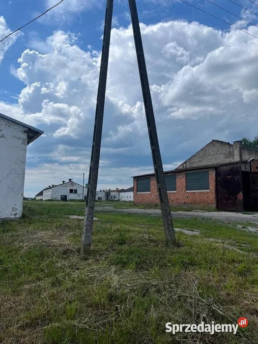 Ferma trzodadrobiu Żnin