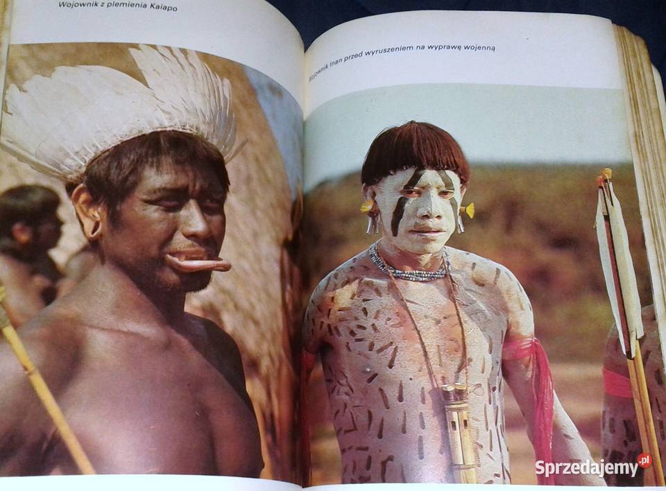 Z kamerą i strzelbą Mato Grosso Antonio Halik Książki i Podręczniki Chełm