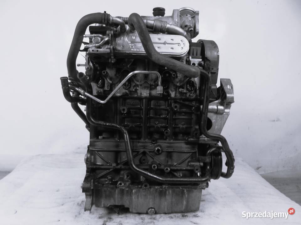 SILNIK VW PASSAT B6 19 TDI PD 105 BKC KOMPLETNY