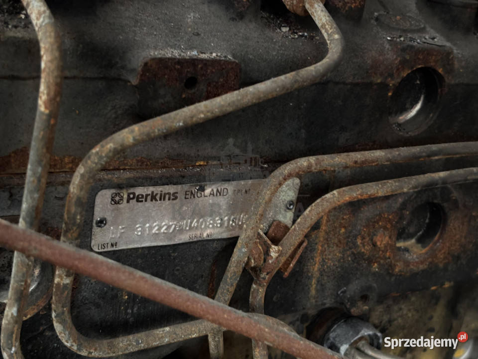 Perkins LF31227 Silnik Blok Tryb Koło Pasowe Jastrzębniki