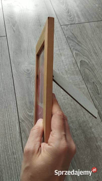 obraz obrazek dekoracyjny biedronka sprzedam