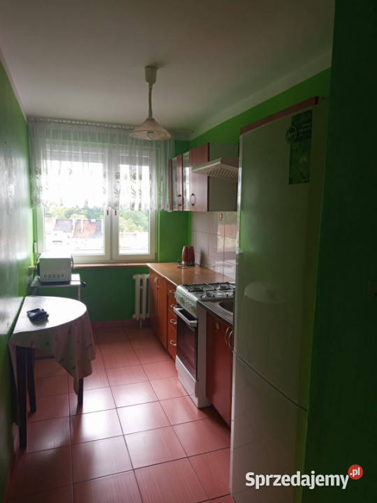 Sprzedam mieszkanie 37 m Legnica ścisłe centrum 9189zł/m2 Sprzedaż