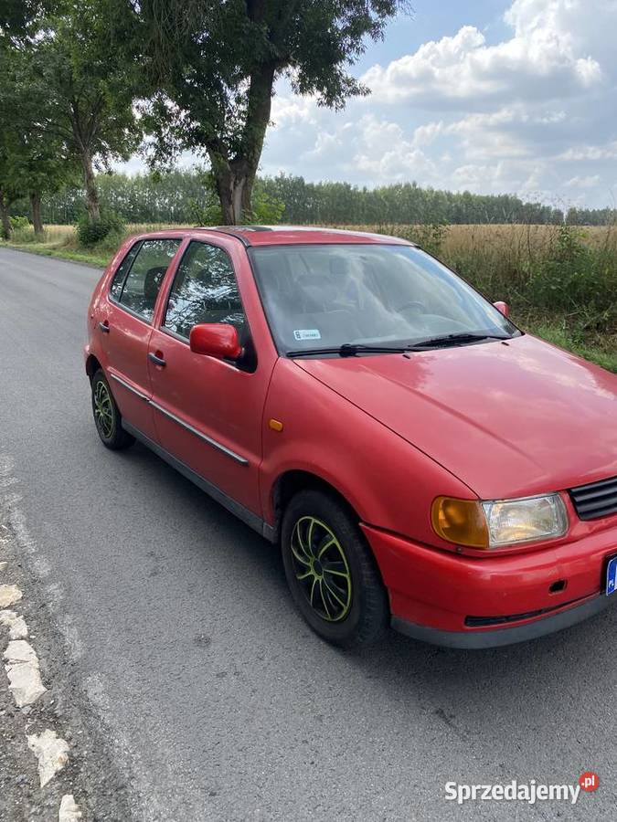 Polo 10 1995 50KM Popów