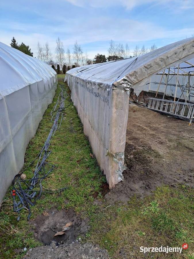 Sprzedam tunel foliowy Niedrzwica Kościelna