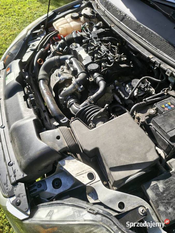 Ford Focus 1600 diesel mk2 Strupice sprzedam