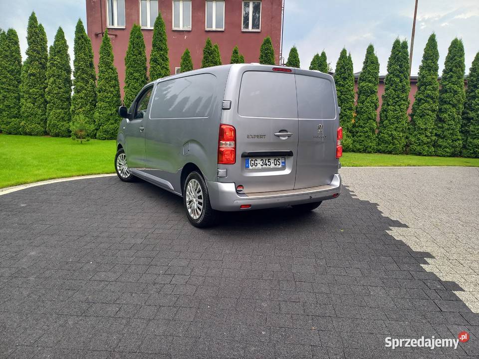 Peugeot expert Odolanów