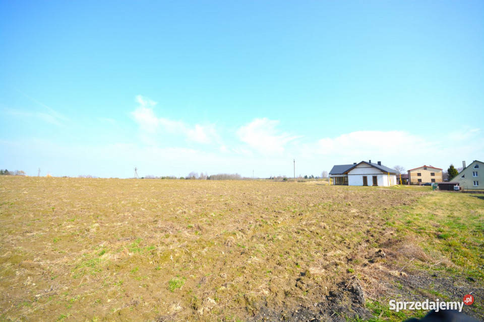 sprzedaży działki 3698m2 Jawidz sprzedam