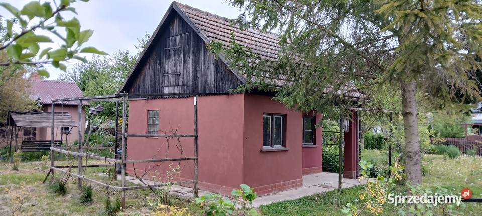 Ogród rekreacyjny ROD z domkiem jeziora Nysa