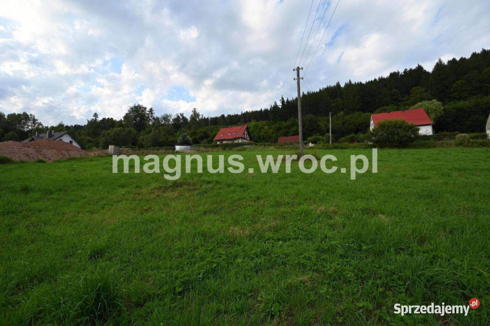 działka budowlana w Ludwikowicach sprzedam