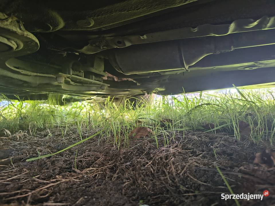 W całości albo na części golf 4 19 tdi Lubsko