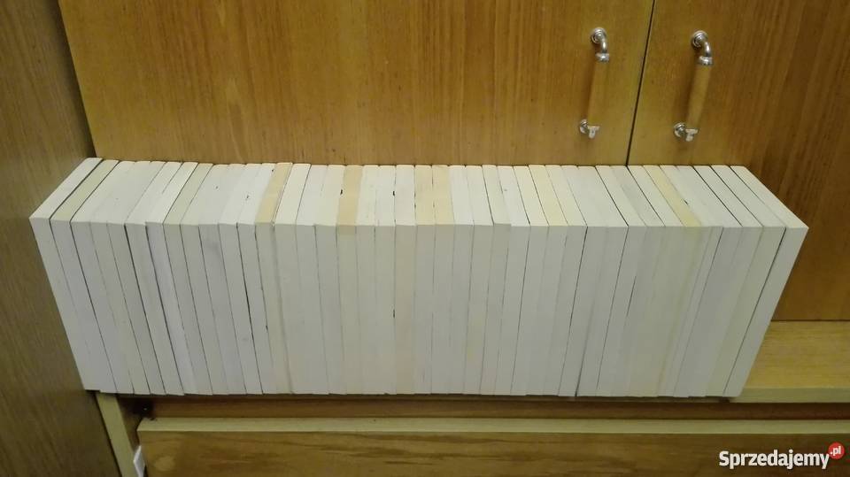 Laila Brenden Skandynawka Saga Hannah cała seria Rok wydania 2009 mazowieckie Warszawa