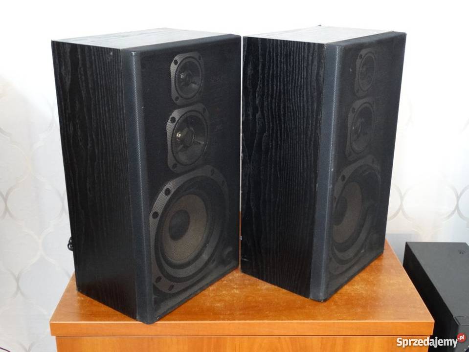 Kolumny JVC SPE300 Belgia 2 x 80 wat WYSYŁKA